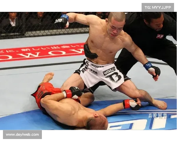 “从张铁泉到宋亚冬：UFC中国力量十年崛起脉络”